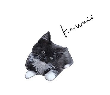 Cat Calico Sticker