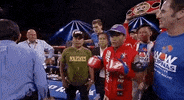 toprank boxing fighting espn fighters GIF