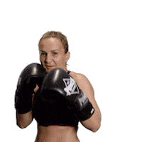 Boxing Newcastle Sticker by Redback Solutions