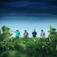 Soja Gera GIF by BASF Soluções para a Agricultura