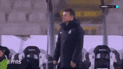 Partizan GIF by sportmts