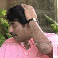 Mammootty GIF