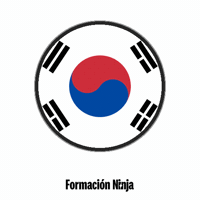 South Korea Flag GIF by Formación Ninja