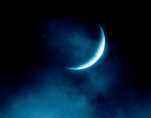 moon love GIF