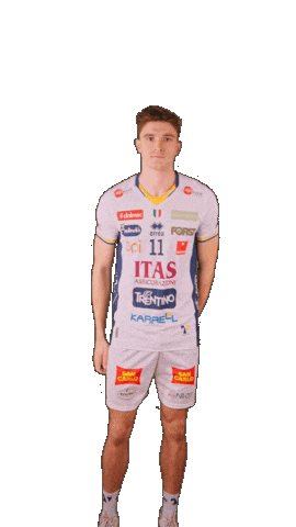 Volleyball Superlega Sticker by Trentino Volley