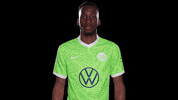Happy Sport GIF by VfL Wolfsburg