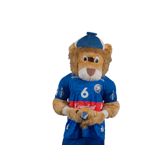 Handball Mascot Sticker by bergischerhc06