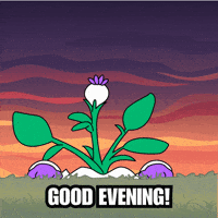 Happy Good Morning GIF by Magic Eden