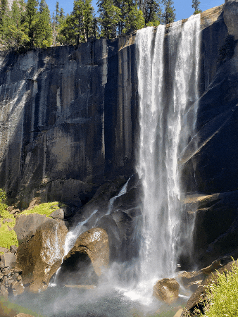 tobywagstaff giphygifmaker giphyattribution toby wagstaff GIF