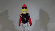 Happy Ball State GIF by Ball State University