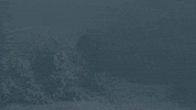 Yelling Snow Day GIF by 9-1-1: Lone Star