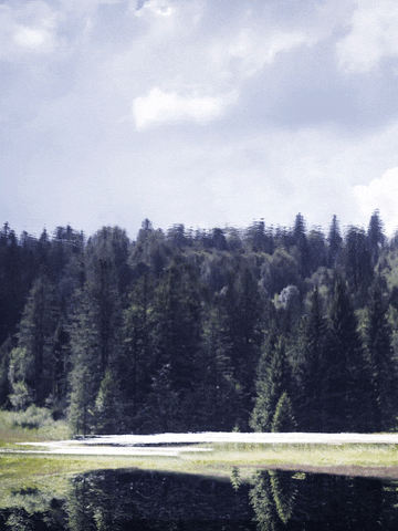GIF by Liberation.fr