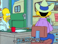 Season 1 GIF by The Simpsons