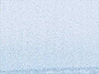 Tour Van GIF by cleopatrick