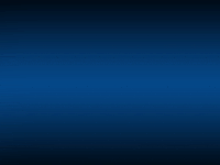 Tour Van GIF by cleopatrick