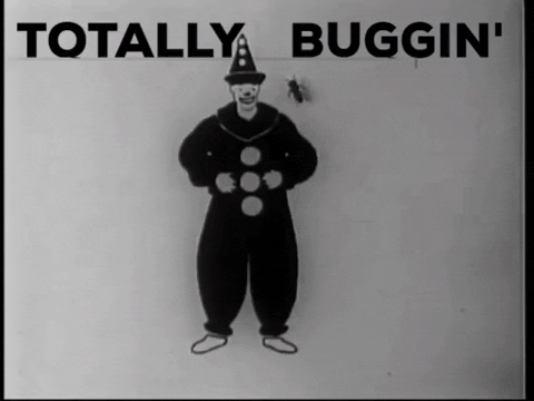 GIF by Fleischer Studios