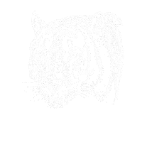 STILLMANmusic music coffee tiger christian Sticker