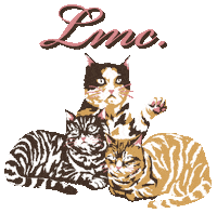 Cat Sticker by LMC_lostmanagementcities