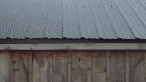 tr0ndizzle giphygifmaker betakit silicon valley north GIF
