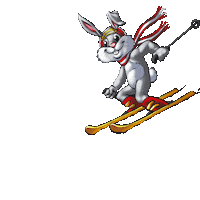 Snow Winter Sticker by Planai_Schladming