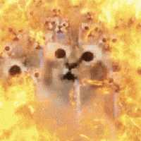 Cat Drool GIF