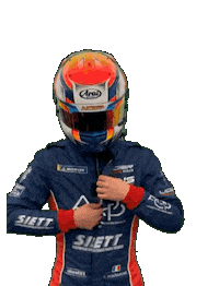 Race Driver Sticker by ANS Motorsport
