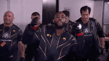 Aljamain Sterling Sport GIF by UFC