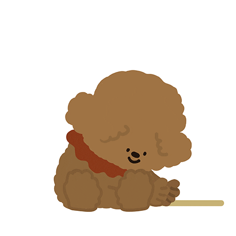 New Post Poodle GIF by kco