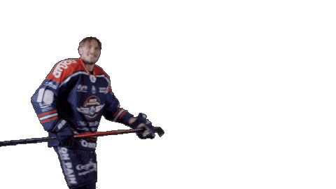 Ducs Dangers Hockey Sticker by Les Ducs d'Angers
