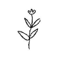 Flower Plant Sticker by InSynch