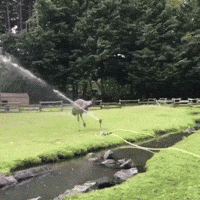 Game Playing GIF by JustViral