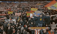 Champions League Football GIF by UEFA