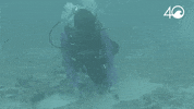 Environment Osborne GIF by 4ocean