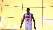 Wildcats GIF by Arizona Men's Basketball