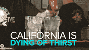 climate change news GIF by NowThis 
