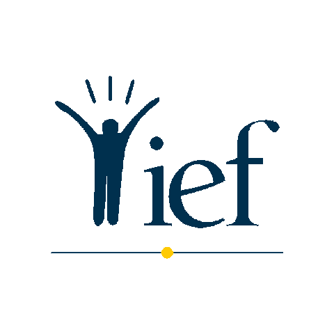 IEFstrasbourg giphygifmaker Sticker