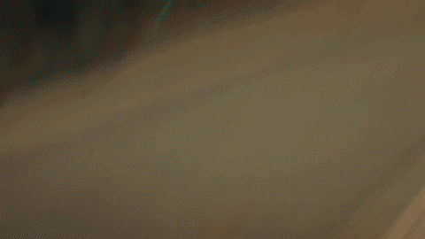 Dontgetmestarted GIF by Lola Brooke