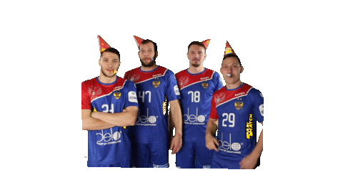 National Team Sport Sticker by Rushandball