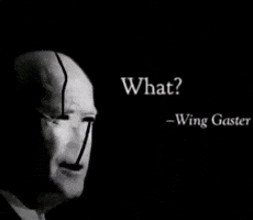 Joe Biden What GIF