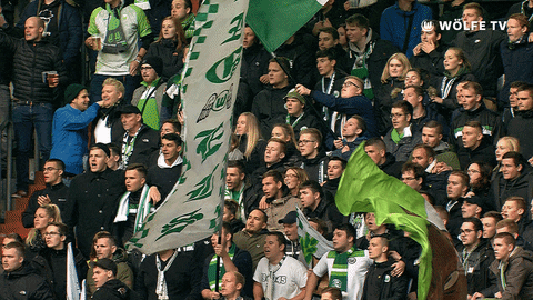 football party GIF by VfL Wolfsburg