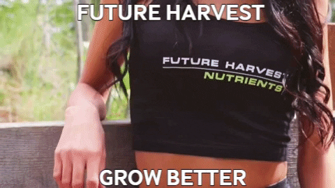 Plantnutrients GIF by Future Harvest