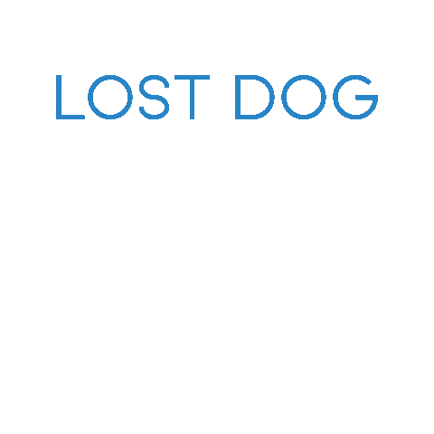 Lost Dog Sticker by ccvnola