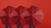 Mad Girl GIF by tot Ou tard