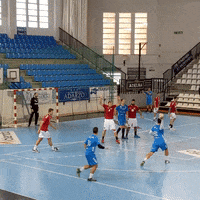 bmSinFin goal gol fin balonmano GIF