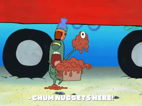 season 8 GIF by SpongeBob SquarePants