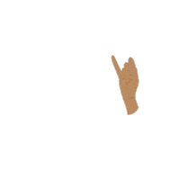 motivation passion Sticker by Sacramento State