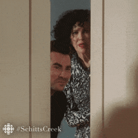 watching schitts creek GIF by CBC
