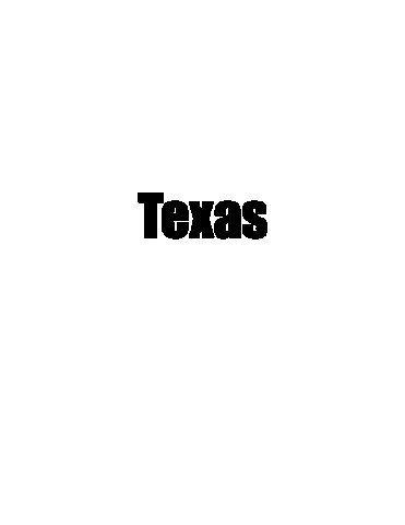 University Of Texas Austin Sticker by Texas BBA Program