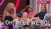 Big Brother Dave GIF by Big Brother Australia