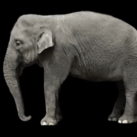 app GIF by The Videobook